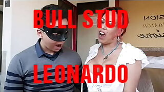 Bull Stud Leonardo